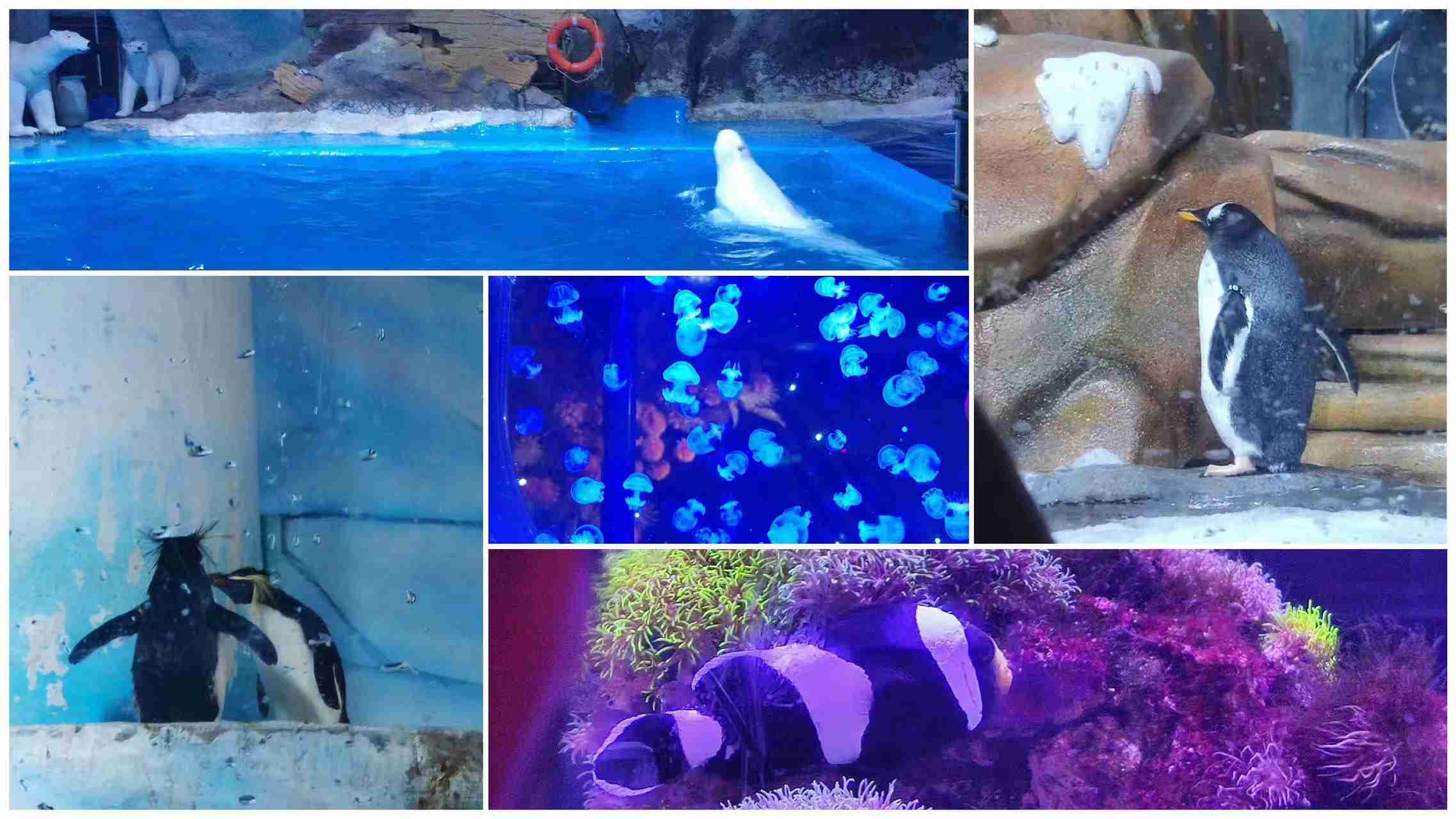 ��ʱ|AG(AsiaGaming)������Ӫ��