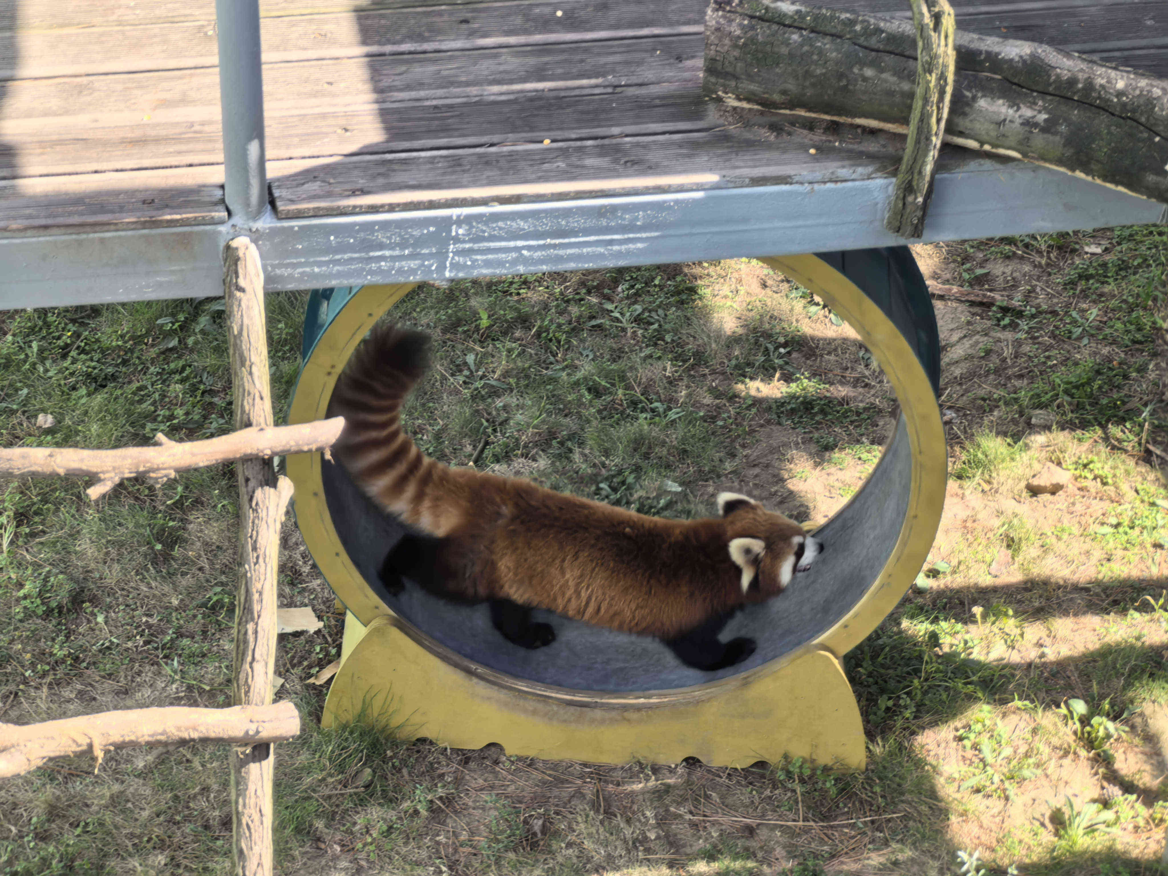 ��ʱ|AG(AsiaGaming)������Ӫ��