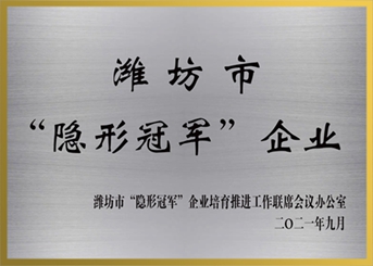 Weifang��Invisible champions��Enterprise